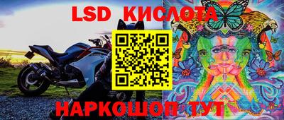 ECSTASY Сланцы