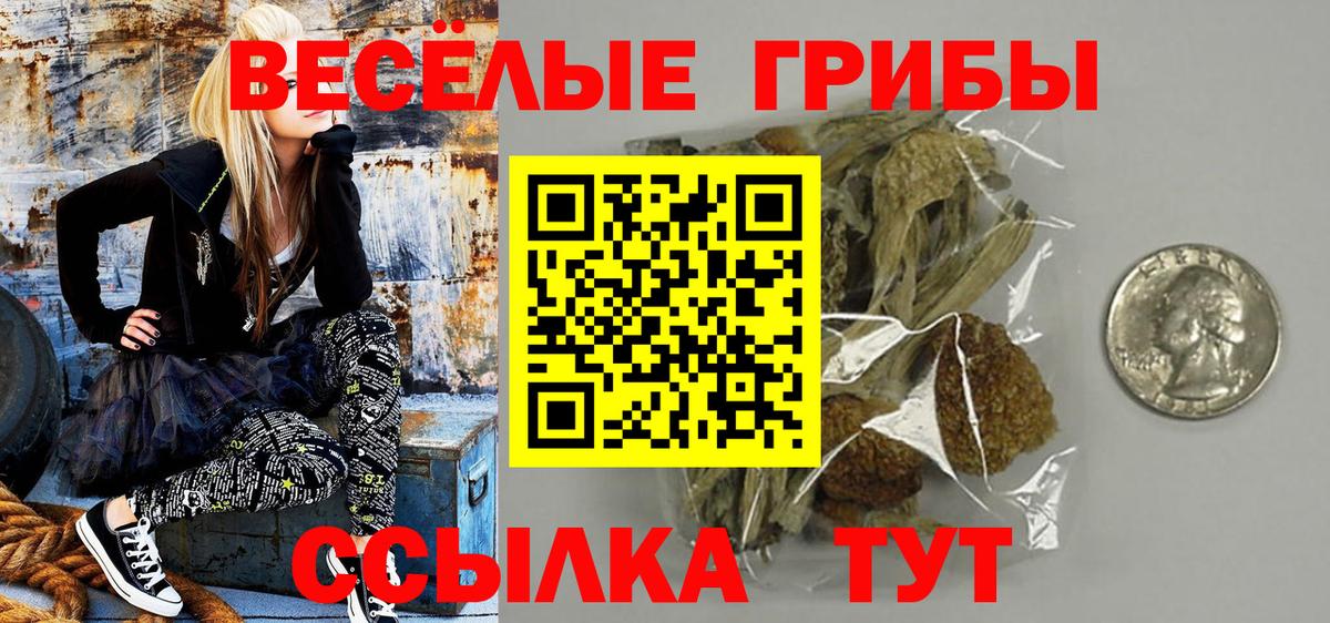 Псилоцибиновые грибы прущие грибы Прохладный