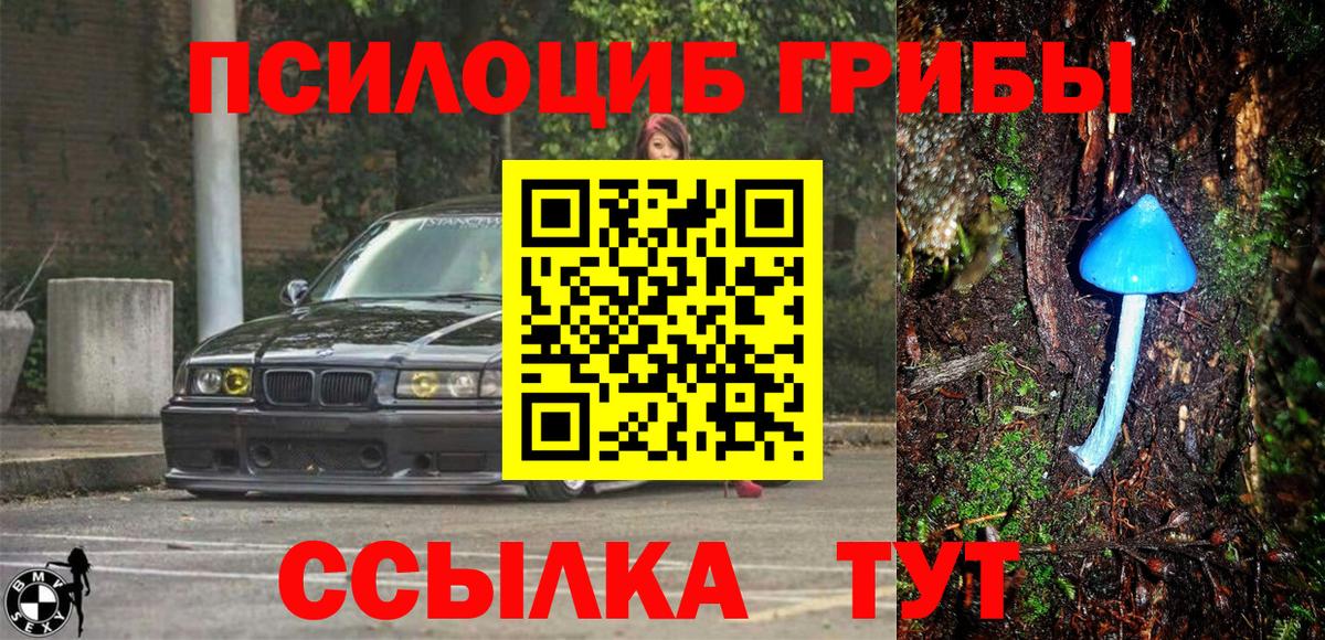 Галлюциногенные грибы ЛСД  Галлюциногенные грибы мицелий  Вход с VPN  Прохладный 
